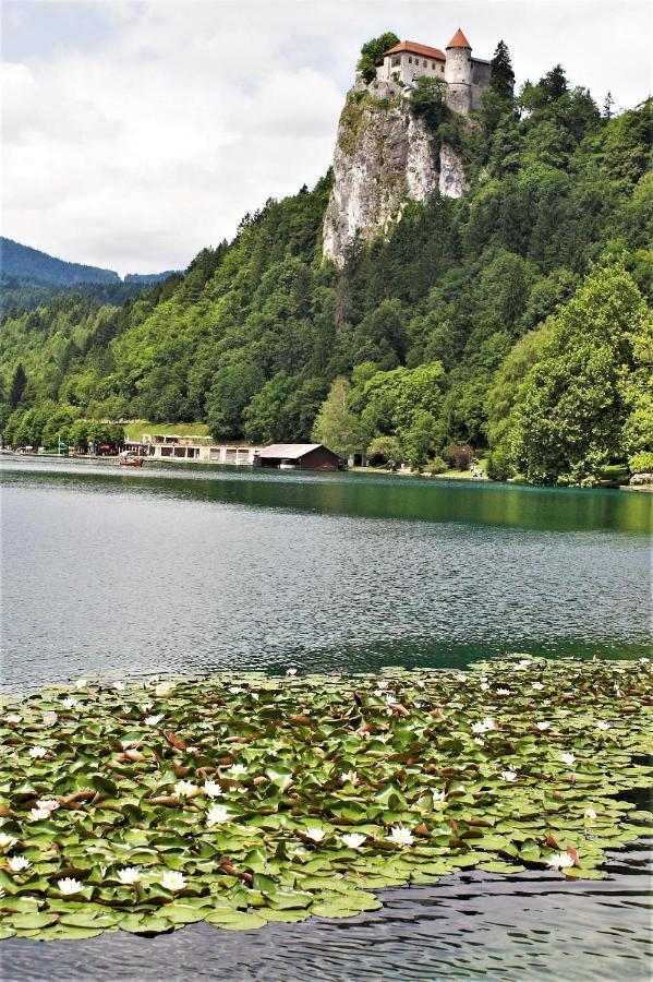 Penzion Zaka Bled Exterior foto